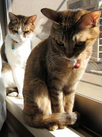 IMG01586.jpg