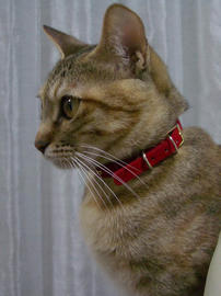 IMGP10795.jpg