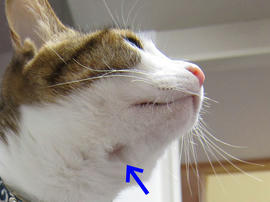 IMG01591.jpg