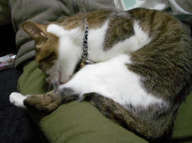 IMGP13457.jpg
