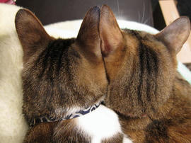IMG01595.jpg