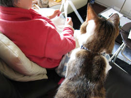 IMG01596.jpg