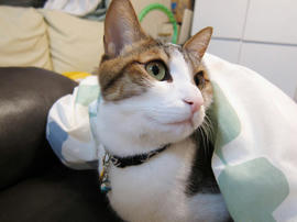 IMG01603.jpg