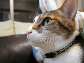 IMG01606.jpg