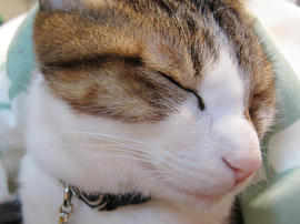 IMG01609.jpg