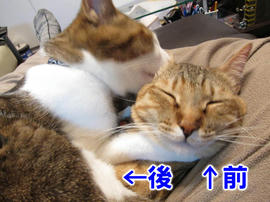 IMG01612.jpg