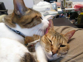 IMG01614.jpg