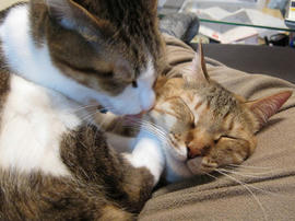 IMG01615.jpg