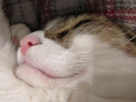 IMG01618.jpg