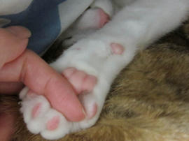 IMG01621.jpg