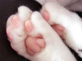 IMG01625.jpg