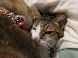 IMG01632.jpg