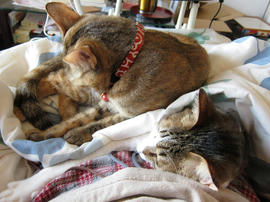 IMG01633.jpg