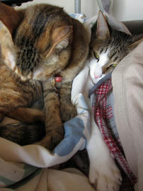 IMG01634.jpg