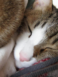 IMG01635.jpg