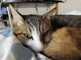 IMG01637.jpg