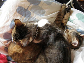 IMG01638.jpg
