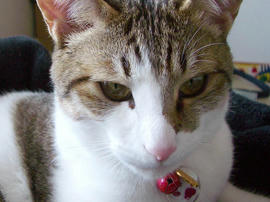 IMGP10855.jpg