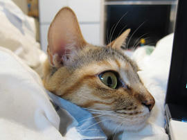 IMG01642.jpg