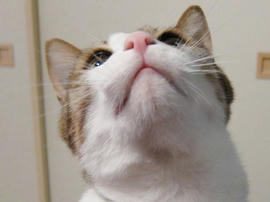IMG01649.jpg