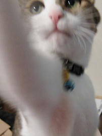 IMG01650.jpg