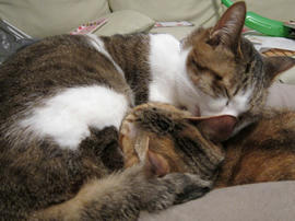 IMG01655.jpg