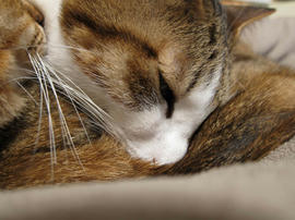 IMG01656.jpg