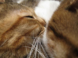 IMG01657.jpg