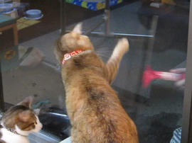 IMG01662_3.jpg