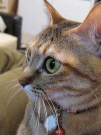 IMG01667.jpg