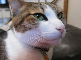 IMG01671.jpg