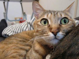 IMG01672.jpg