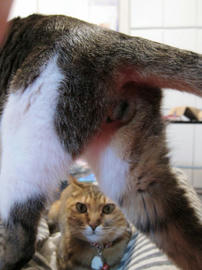 IMG01675.jpg