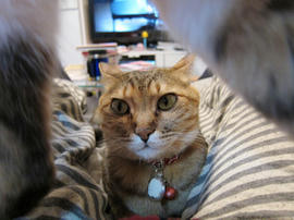 IMG01677.jpg