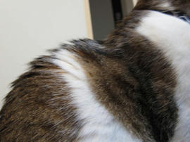 IMG01682.jpg