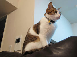 IMG01683.jpg