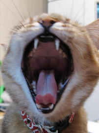 IMG01668.jpg