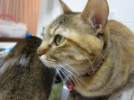 IMG01690.jpg