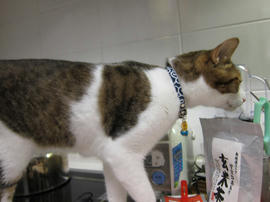 IMG01691.jpg