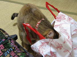 IMG01694.jpg
