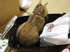 IMG01696.jpg