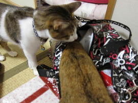 IMG01699.jpg