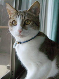 IMGP10876.jpg