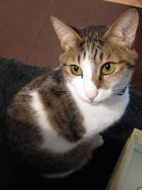 IMG01784.jpg