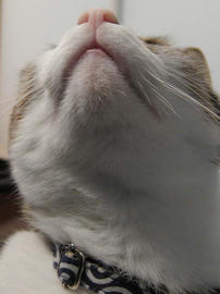 IMG01787.jpg