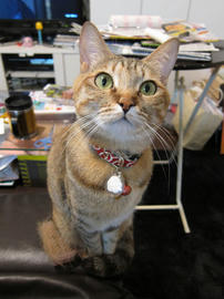 IMG01789.jpg