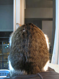 IMG01794.jpg