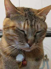 IMG01795.jpg
