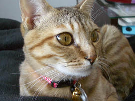 IMGP10890.jpg