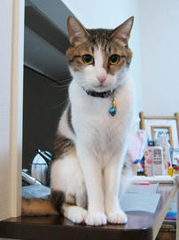 IMG01796.jpg